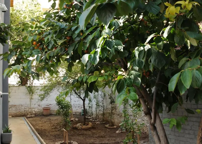 Auberge de jeunesse H Tirana